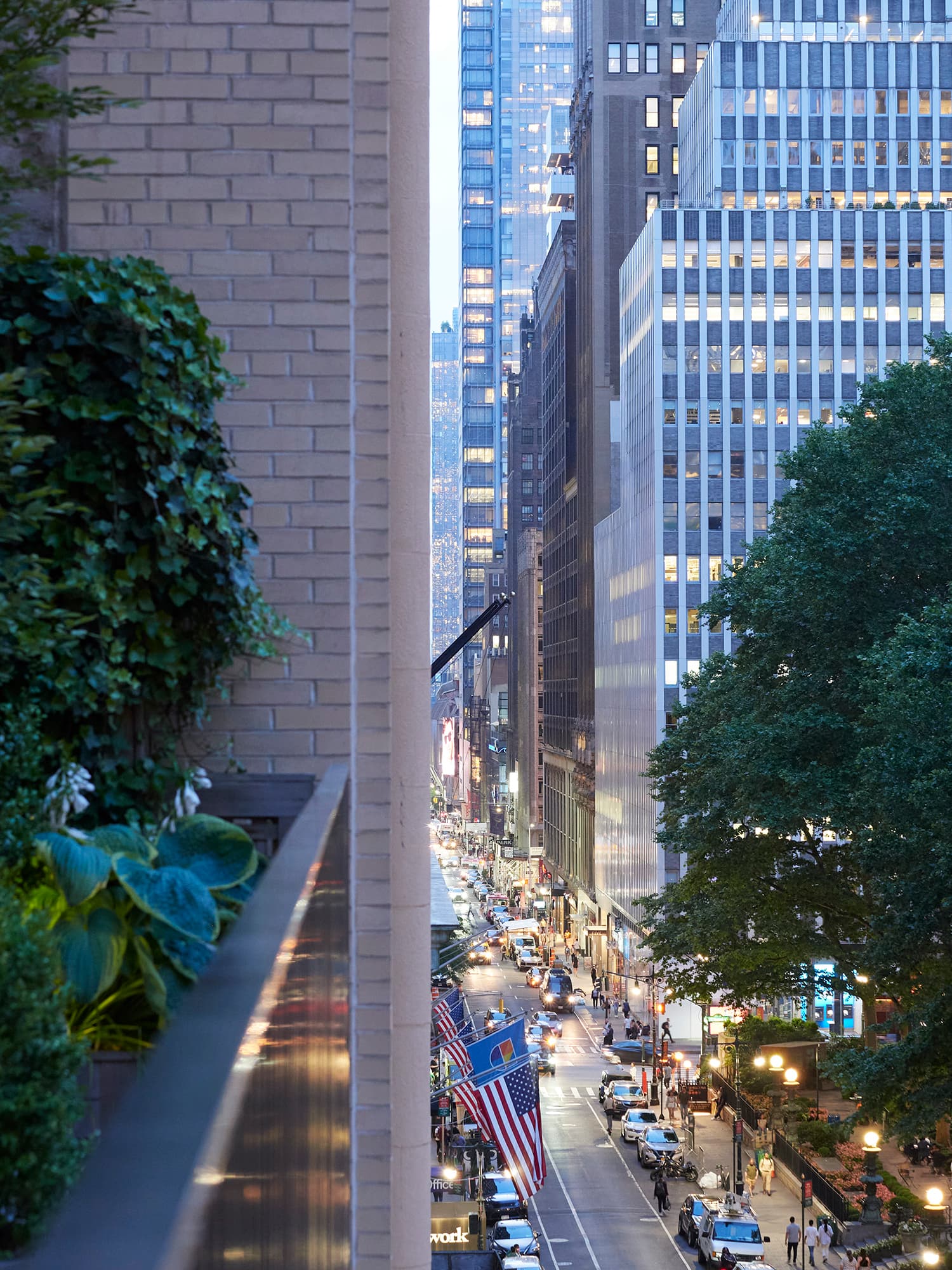 Branch New York