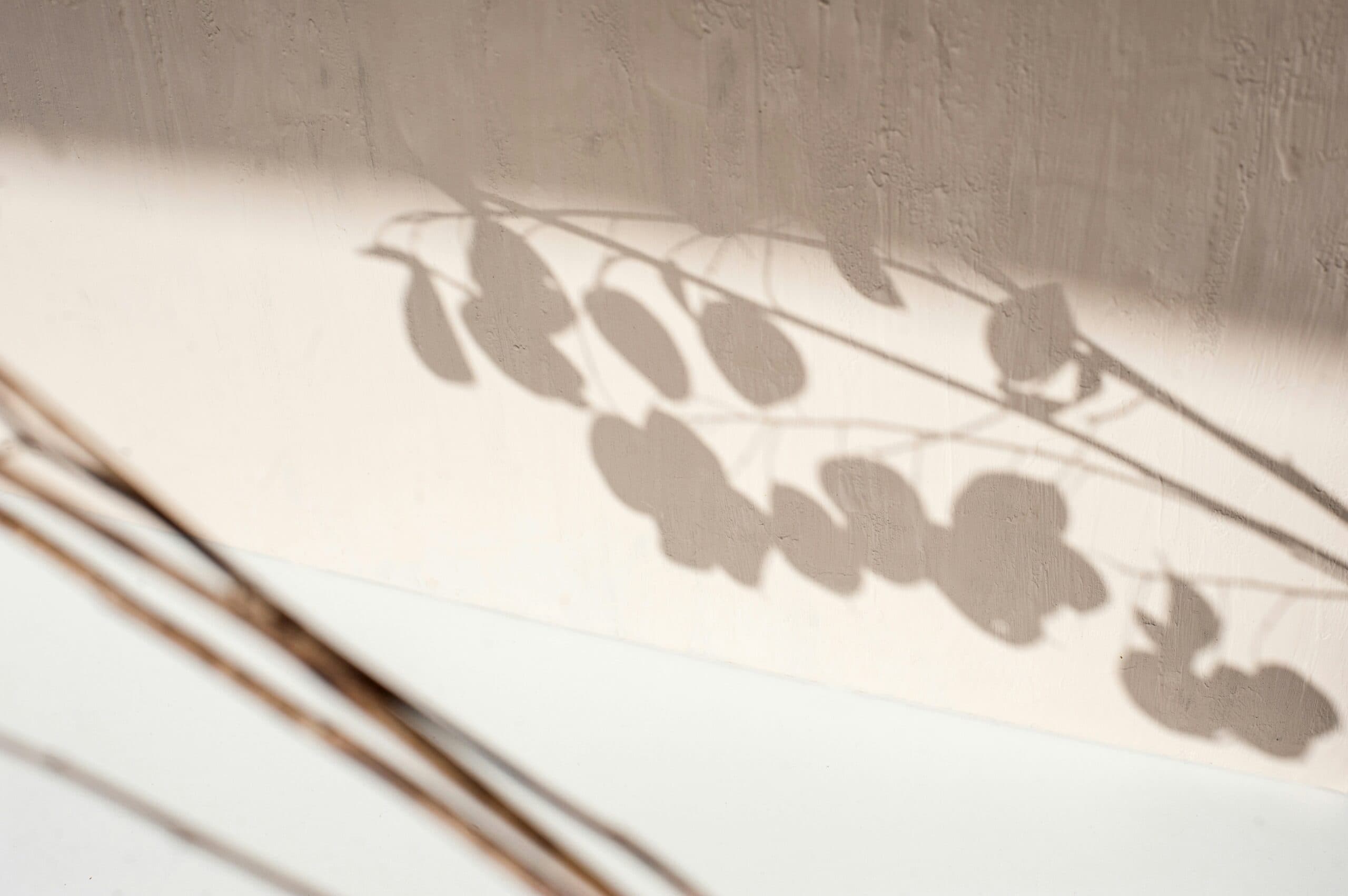 Branch New York